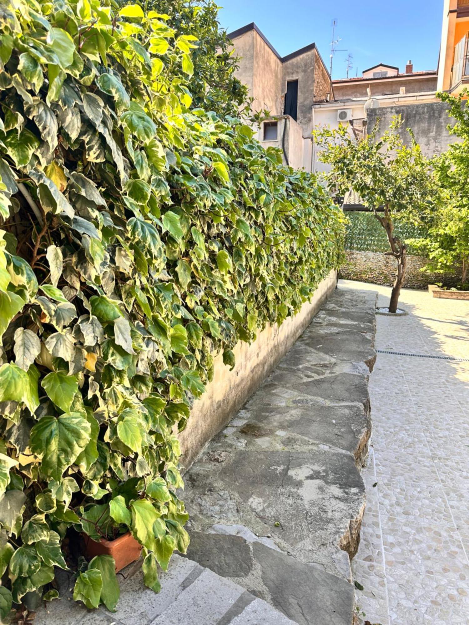 Villa La Terrazza Sapri Exterior foto
