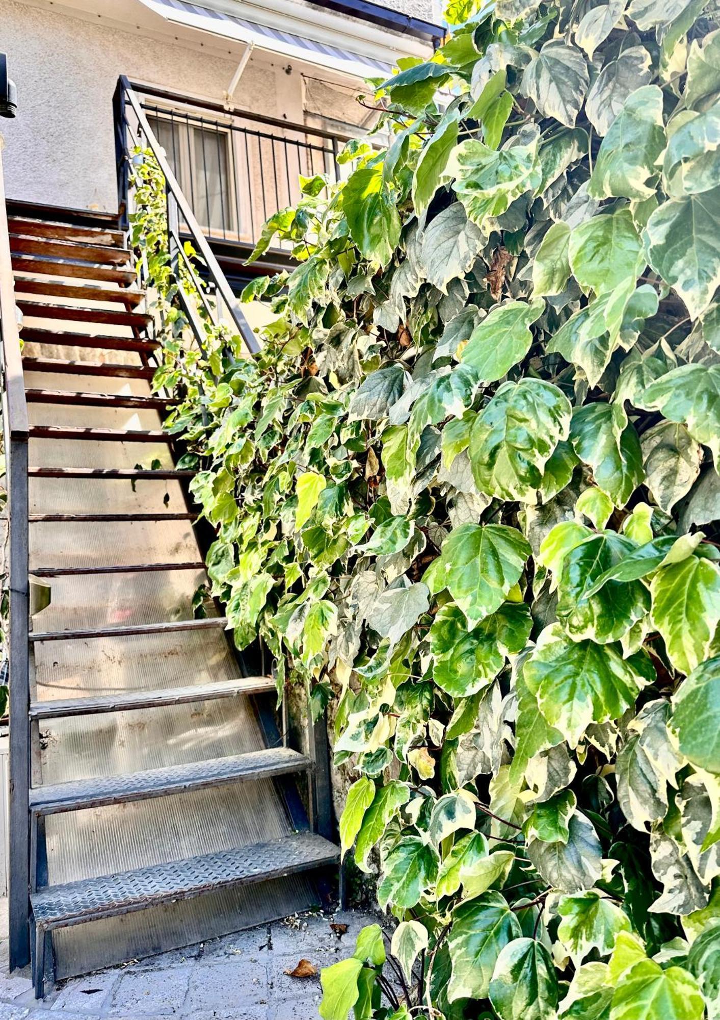 Villa La Terrazza Sapri Exterior foto